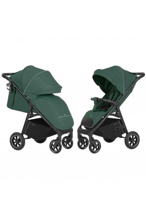Прогулянкова коляска CARRELLO Bravo CRL-5512 Spring Green NF /1/