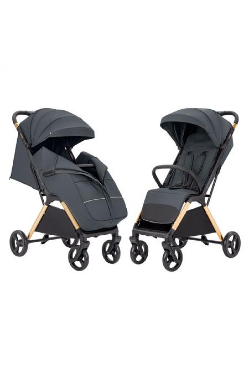 Прогулянкова коляска CARRELLO Cross CRL-5523 Eagle Grey /1/