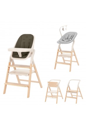 Стілець для годування CARRELLO Ergo CRL-16701 Pine Green /1/ MOQ