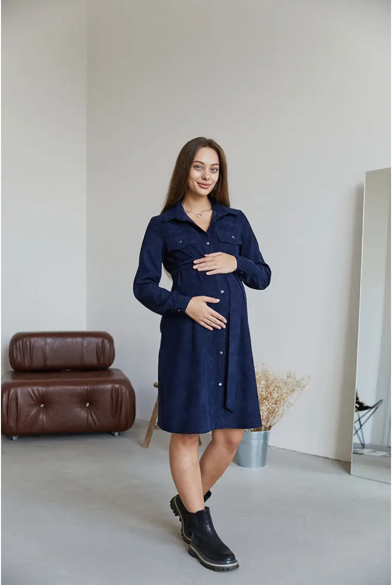 Сукня для вагітних і годуючих Philadelphia Синій Lullababe