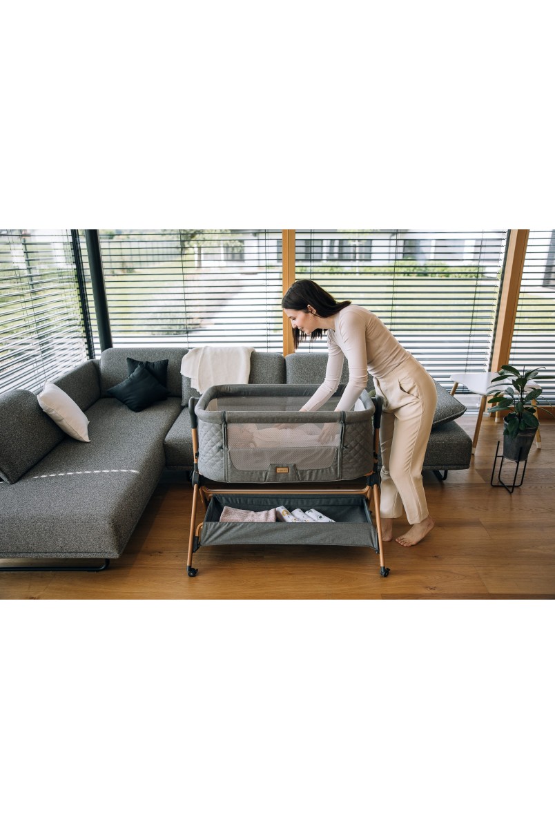 Приліжкове ліжечко та стільчик для дитини Nest & Feed 2 в 1 FreeON, grey